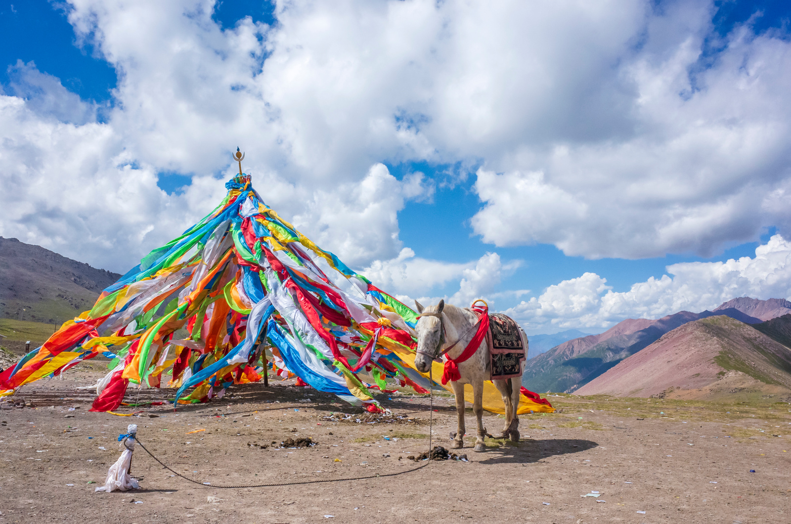 Tibetan prayer flags and a horse in Qinghai, China
