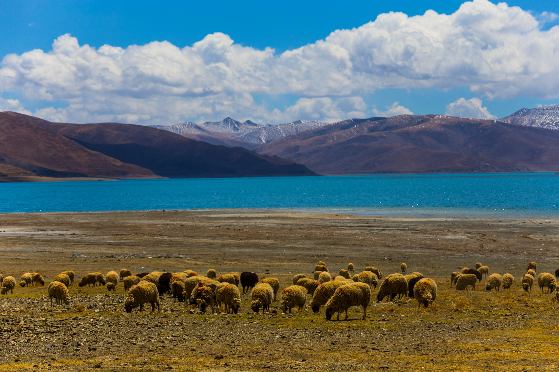 Tibet landscape, Tibet, China.